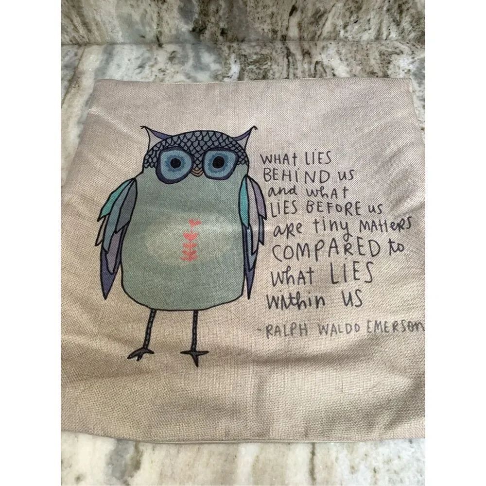 Pillow Owl Inspiration Quote